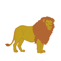 South Africa World Sticker by Access Travel