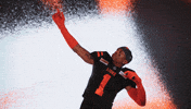Football Celebration GIF by BC Lions