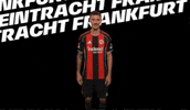 Weiter Hands Up GIF by Eintracht Frankfurt
