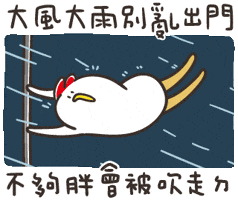 Typhoon 颱風 GIF