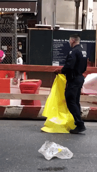 NYPD Assist Grounded Falcon in Downtown Manhattan