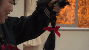 comedy japan GIF