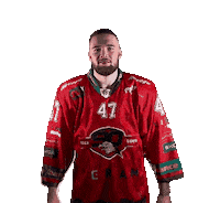 HCORLIZNOJMO 47 orli znojmo orliznojmo Sticker