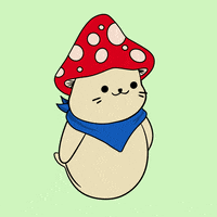 Dance Dancing GIF by Sappy Seals Community