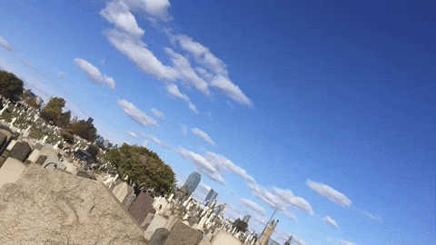 Im Dead New York New York GIF by bryan