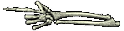 part body STICKER