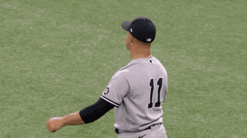 Ny Yankees GIF by Jomboy Media