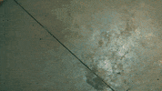 Scared Short Film GIF by Red Giant