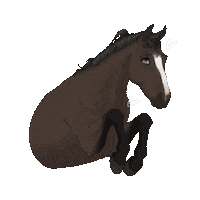 Horse Sticker