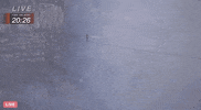 GIF by Volcano Live! with Nik Wallenda