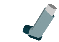 fgn-fortbildungen medical medizin asthma fortbildung Sticker
