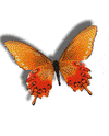 graphics bees GIF
