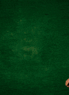 Ich Bin Ein Star Peace GIF by RTLde