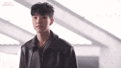 Peace Sign 세븐틴 GIF