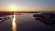 maryland GIF
