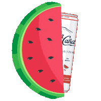 Watermelon Seltzer Sticker by flordecana