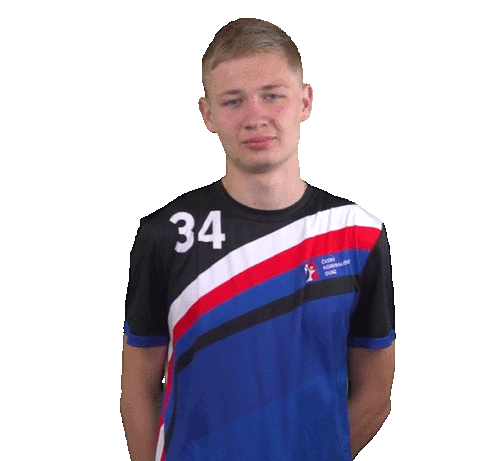 Korfbalcz giphyupload cesko korfbal czechia Sticker
