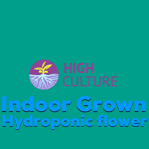High_Culture hemp indoor hydro highculture GIF