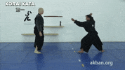 korai kata Ã§Â¬Â¬Ã¤Â¸Â€ GIF by AKBAN Academy