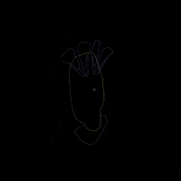 Girl Love GIF