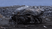 explode science fiction GIF by Gunpowder & Sky