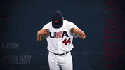 Pro GIF by USA Baseball