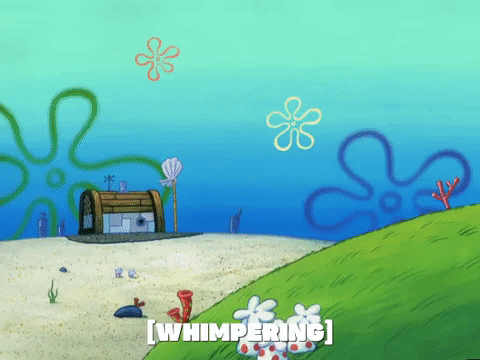 season 4 GIF by SpongeBob SquarePants