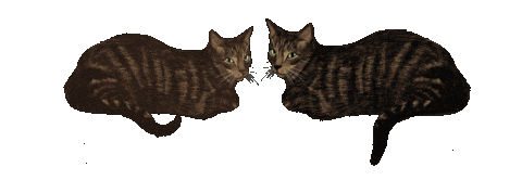 Cats Judging Sticker