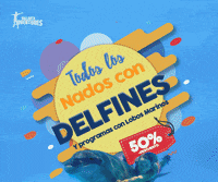 delfin GIF by Vallarta Adventures