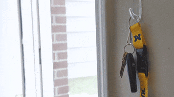 Go High School GIF by University of Michigan