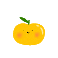 rkharismap orange healthy doodle fruit Sticker