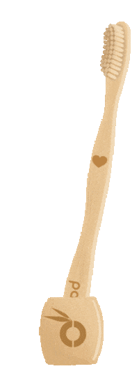 Toothbrush Bamboo Sticker by pandoo