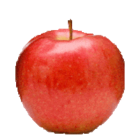 Apple Pie Apples Sticker