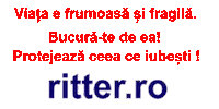 Insurance Broker Sticker by RITTER Broker