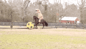 t rex horse GIF