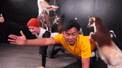 guavajuice funny wow lol animals GIF