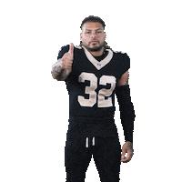 Nfl Football Sticker by New Orleans Saints