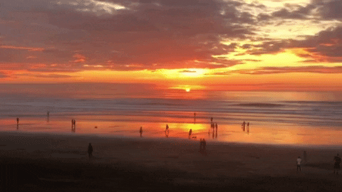 Beach Sunset GIF by Yevbel