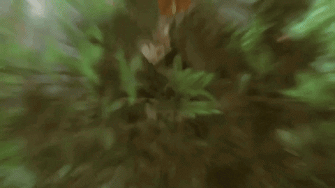 Walking Astronaut GIF by Star Citizen