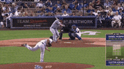 baseball daniel GIF