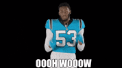 National Football League Reaction GIF by Carolina Panthers