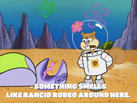 season 4 whale of a birthday GIF by SpongeBob SquarePants