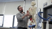 skeleton anatomy GIF by UVic Campus Life