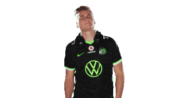 E Sports Sport Sticker by VfL Wolfsburg