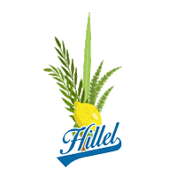 Sukkot Sticker by HillelBH