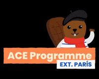 KaseTravel paris aceprogramme kasetravel GIF