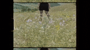 Driving Music Video GIF by Soccer Mommy