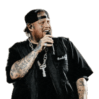 Listen New Zealand Sticker by iHeartCountry NZ