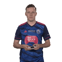 Fifa What Sticker by Bundesliga