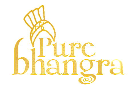 Desi Punjabi Sticker by Pure Bhangra